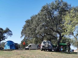 2023-09-29 SALAMANDRA II